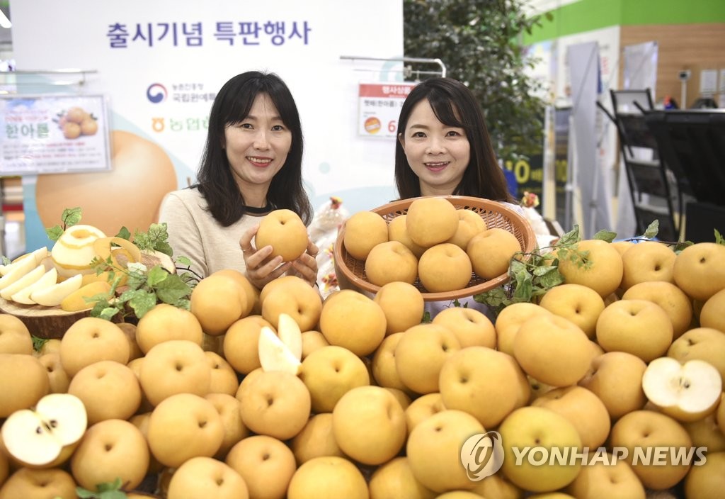 한아름할인마트 이미지