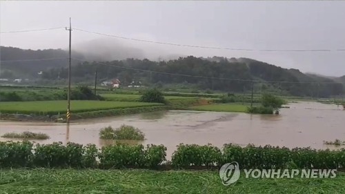 물에 잠긴 논밭 (연천=연합뉴스) 29일 폭우가 퍼부은 경기도 연천군 백학면의 농경지가 물에 잠겨 있다. 2018.8.29 [독자 촬영 제공]      suki@yna.co.kr  (끝)