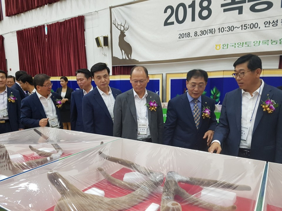 안성종합계기 이미지