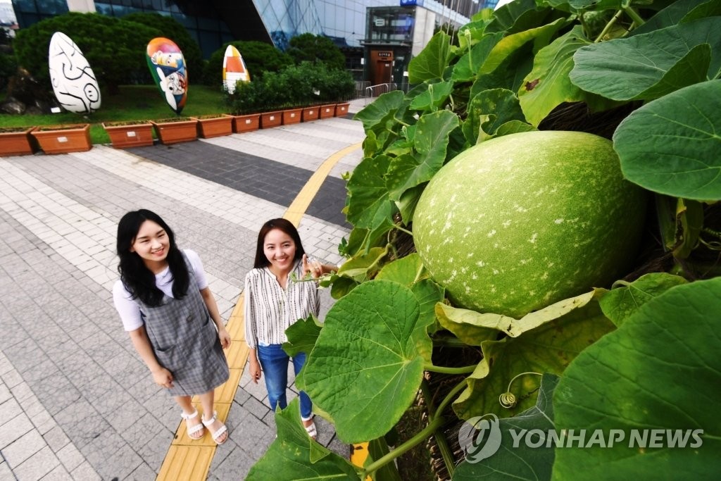 용산구청 이미지