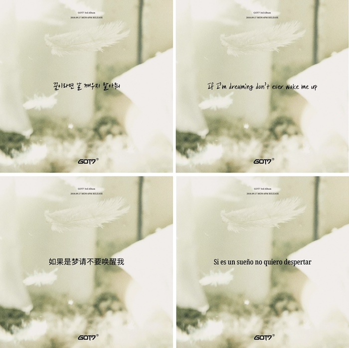 럴러바이 이미지