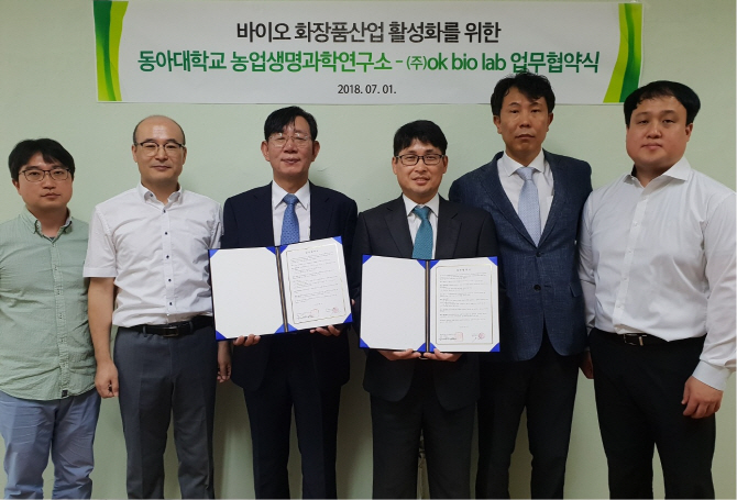 디에프에스 이미지