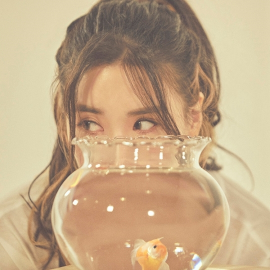 엔에스씨 이미지