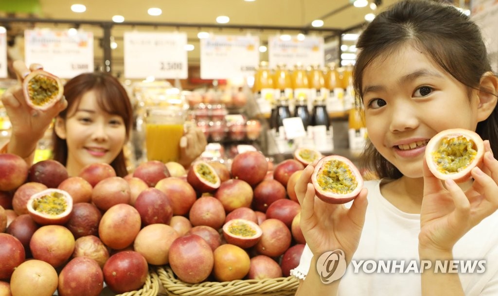 이패션마트 이미지
