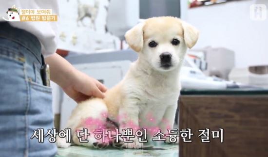 하루 이미지