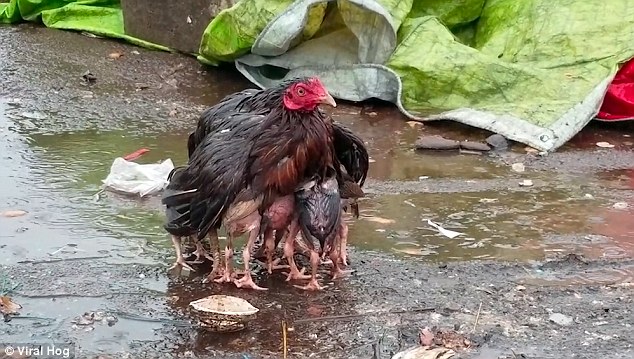 (주)삼아 이미지