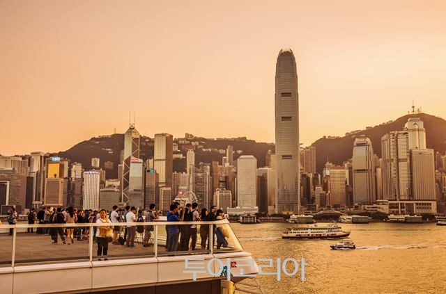 줌마렐라 이미지