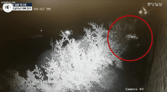 실종 당일인 지난 6월 16일 A양 가족이 집에 찾아가자 피의자 김모(51)씨가 뒷문으로 달아나는 모습이 포착된 CCTV 화면. [중앙포토]