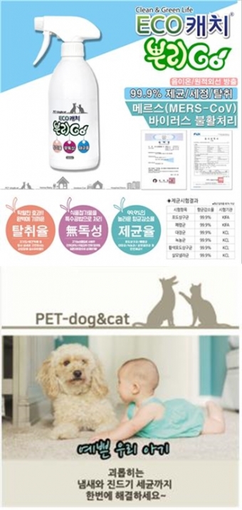 진성닷컴(주) 이미지