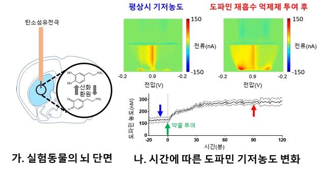 도파민 이미지