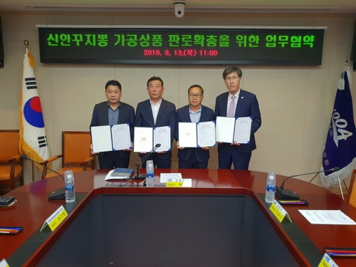 신안꾸지뽕 이미지