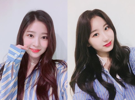 The Korea-Japan project group IZWAN announced his feelings ahead of his debut in October.On September 15, IZ*ONEs official Instagram posted 12 IZ1 members selfies and their debut impressions.Jang Won-young, Miyawaki Sakura, Jo Yu-ri, Choi Ye-na, An Yoo-jin, Yabuki Nako, Kwon Eun-bi, Kang Hye-won, Honda Hitomi, Kim Chae-won, Kim Min-joo and Lee Chae-yeon expressed their gratitude for their debut through Mnet Produce 48.Meanwhile, IZWON is preparing an album with the goal of debuting in October.Next is a special impression of the debut of former member of IZWONHello. IZ*ONEs original character, so grateful, happy, excited, and working harder to make such a desired debut thanks to you!Ill be the one who can pay you back. Thank you.Hello. Miyawaki Sakura, IZ*ONE. Thanks to you, Im able to make my debut in Korea.I will try hard to show you a great stage by practicing so that you can repay your expectations. Please look forward to it.Hello. IZ*ONE glass. I really appreciate all the fans who have made me say hello to you as an IZ*ONE member.Ill be Jo Yu-ri, who always tries to show you a good picture in the future. Please keep a good eye on me.Hello. Yenna, IZ*ONE. So much for the fans who cheered me on my dream debut.I will always try harder and show you the best of things. Thank you!Hello. Eugene from IZONE. Ive had a happy Haru today with your love and support, and its been getting cold these days, and everyone is careful with the cold.Ill be here a lot in the future, so please do me a favor.Hello. IZ*ONE Yabuki Nako. Im so glad to be able to make my debut in Korea. I have something I want to say to you who always support me.I will work harder as a member of IZ*ONE in the future. Please do well in the future.Hello. Eun-Bi, IZ*ONE. Thanks to you fans, Im here now.I will always try to be a Kwon Eun-bi, in return for your support! I miss you so much. I love you.Hello, IZ*ONEs Hyewon, which is still a lot lacking, but I am so grateful for making my debut with a lot of love and support, and I will be a Hyewon who will work harder in the future!Thank you!Hitomi Honda of Hello. IZ*ONE. Im so glad I made my debut as IZ*ONE. Thanks to all the love you gave me.I will always try hard to be loved by you all the time! Thank you.Hello. IZ*ONEs Chaewon. Im going to try so hard to show you a better picture! I miss you!Hello. IZ*ONEs democracy. Its a pleasant windy day. What kind of haru did you send today?Im sending Haru, who is a dreamy member of IZONE, thanks to your support. I cant wait to stand in front of you.Hello. IZ*ONEs Chae Yeon. Its a great day. Im happier to be able to live as an IZ*ONE member.Thank you.Park Su-in