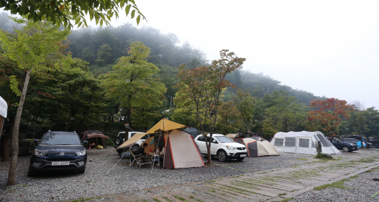 뮤직캠프(MUSIC CAMP) 이미지