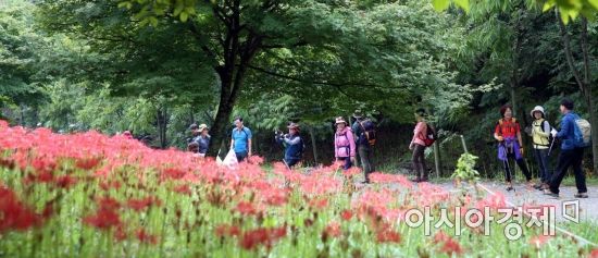 샴푸노래마을 이미지
