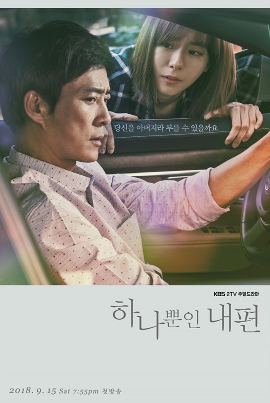 하나뿐인 내편