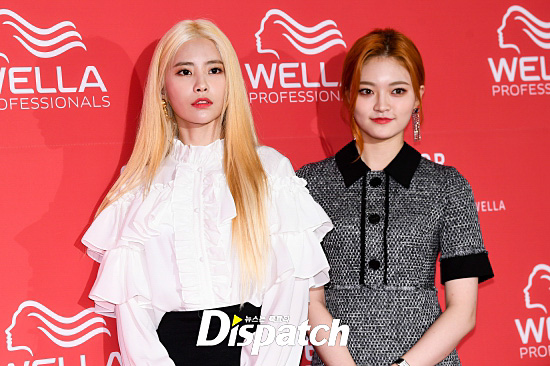 컬러풀헤어 이미지