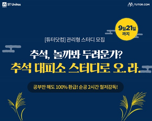 에스티28 이미지