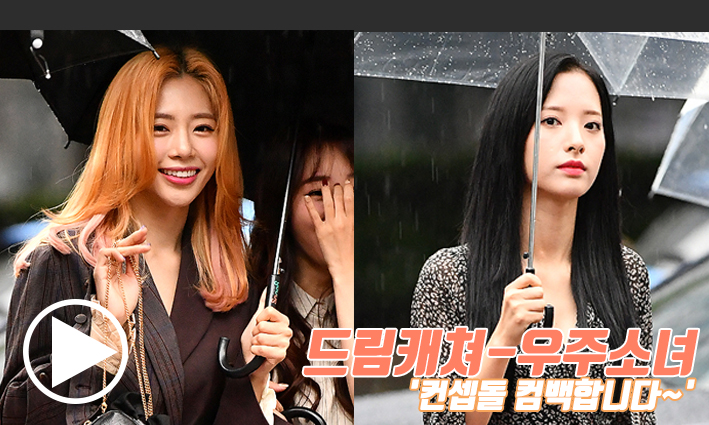 다미다원 이미지