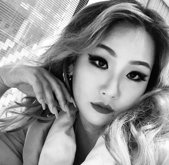 씨엘건재 이미지