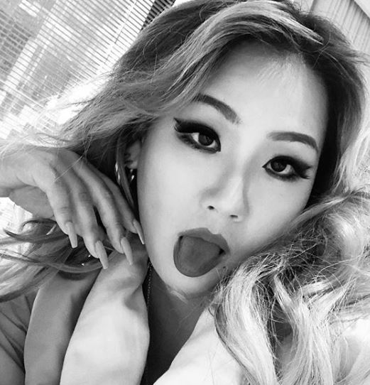 씨엘건재 이미지