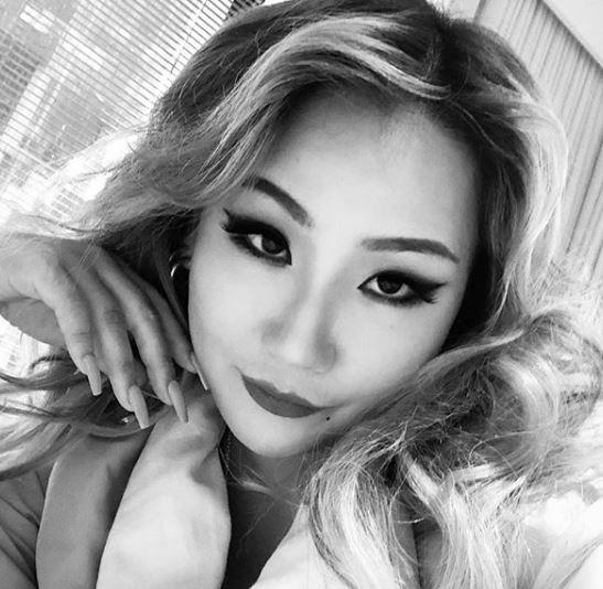 씨엘건재 이미지