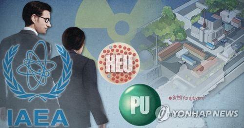 영변 핵시설 감시 사찰단·국제원자력기구(IAEA) (PG) [제작 최자윤] 일러스트