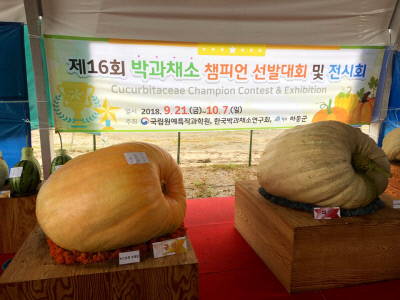진흥슈퍼 이미지
