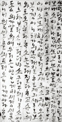 세기농장 이미지