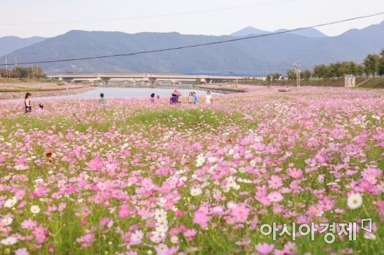 광양숯불구이 이미지