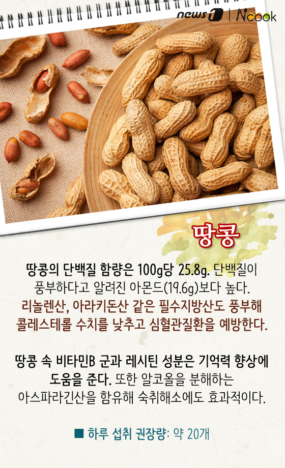 하루쿡 이미지
