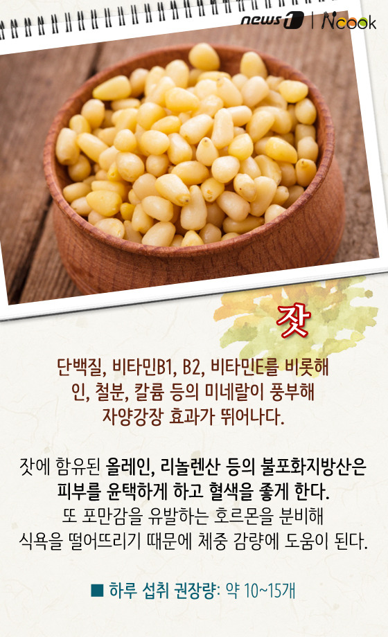 하루쿡 이미지
