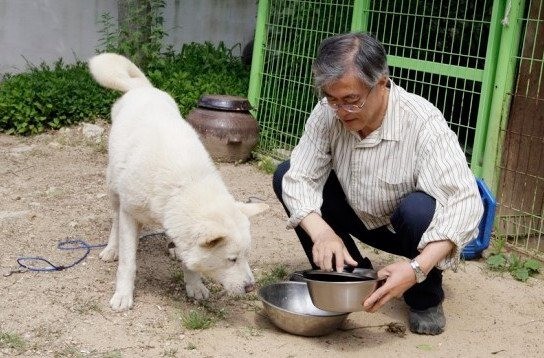 마루마리 이미지