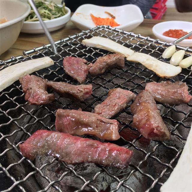탄성한우 이미지