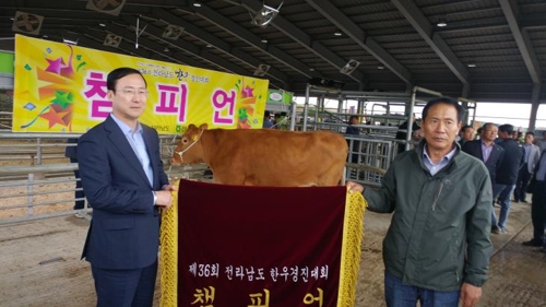 한우 이미지
