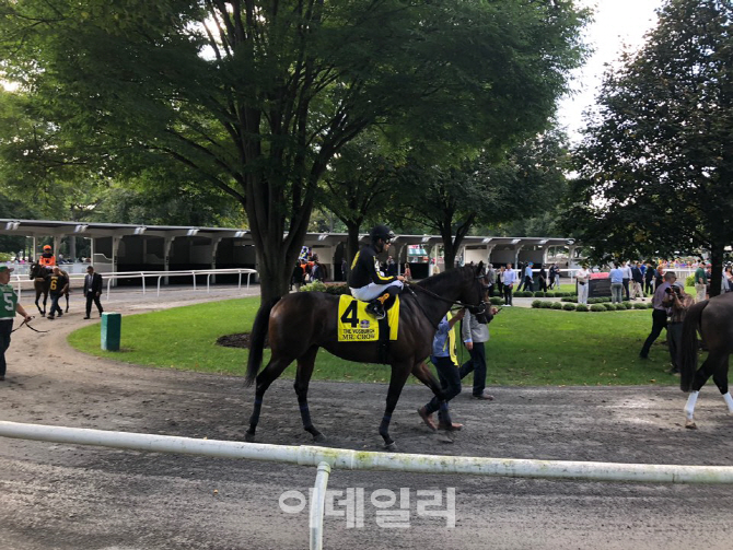 미스터컵 이미지