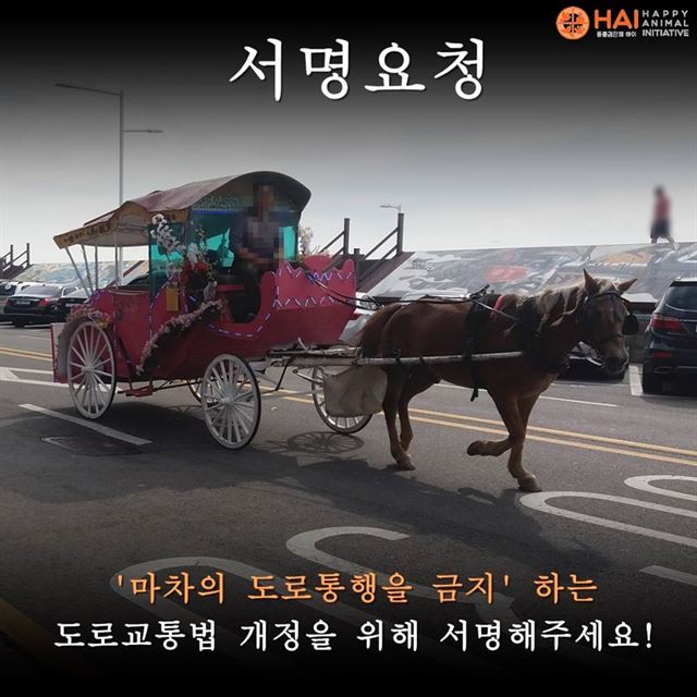 꽃마차 이미지