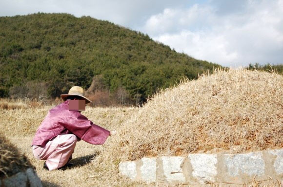 경매로 나온 땅에 묘지가 있다면 분묘기지권 성립 여부를 잘 살펴봐야 한다. ※사진은 기사 내용과 무관합니다. /조선DB