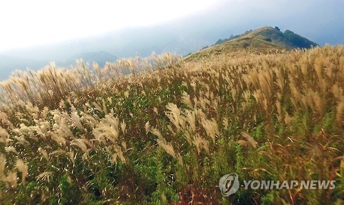 연리지미디어 이미지