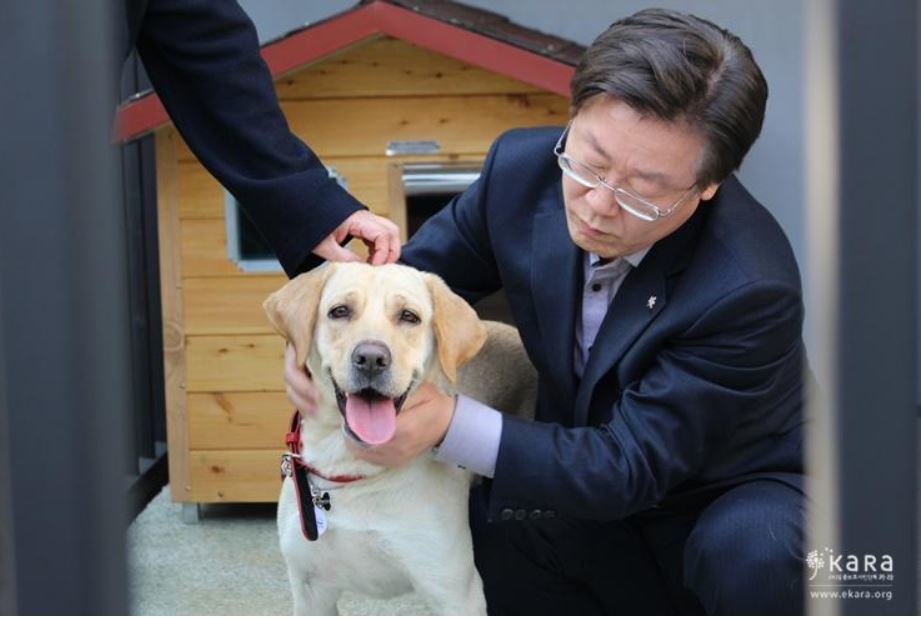 카라의원 이미지