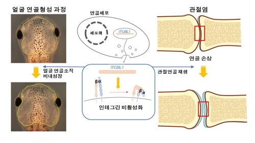 [울산과학기술원 제공]