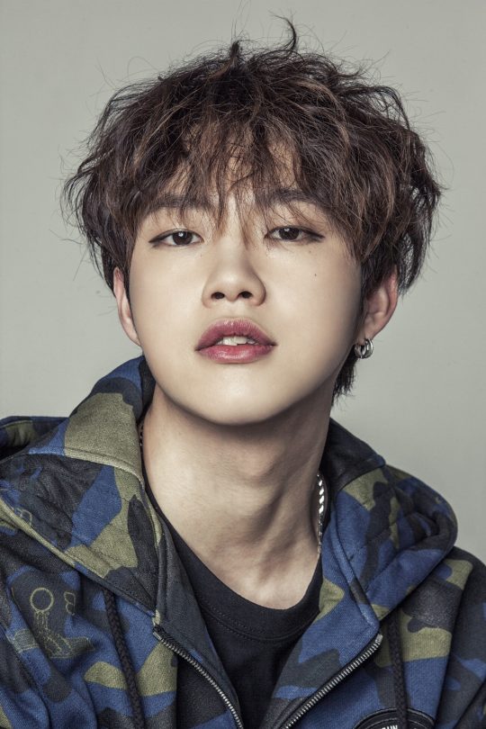 더베인 이미지