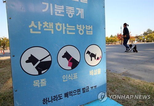 [연합뉴스 자료사진]