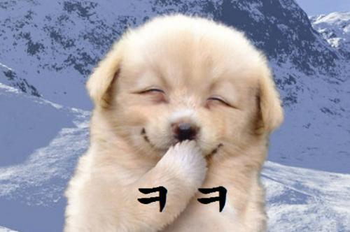 크크 이미지