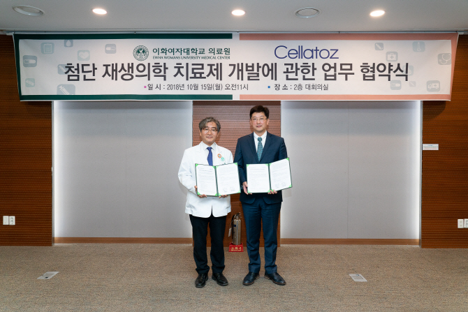 이화개발 이미지