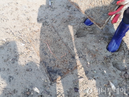 신안환경 이미지
