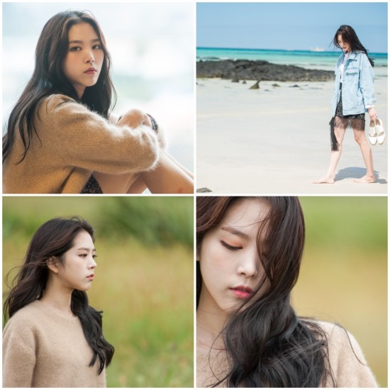 에이드컴퍼니 이미지