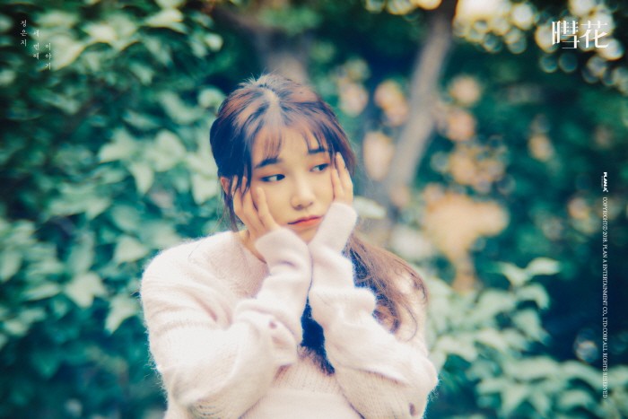 에이라운드그룹 이미지