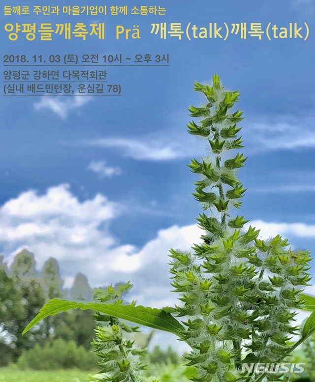 에버그린에버블루협동조합 이미지