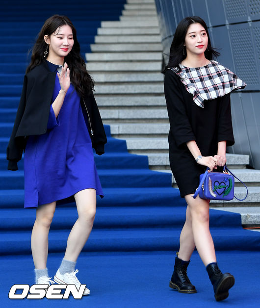 서연컬렉션 이미지