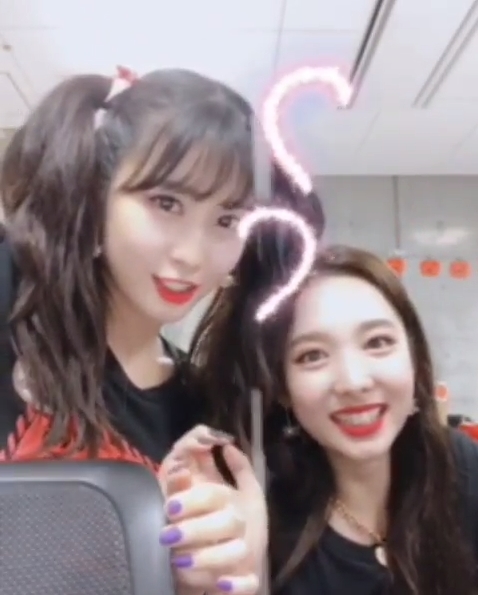 모모투어 이미지